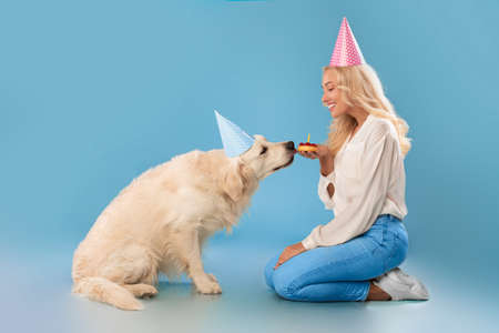 Woman greeting cute healthy dog in party hat with cake