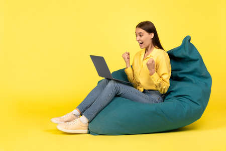 Joyful Woman Using Laptop Gesturing Yes Sitting Over Yellow Backgroundの写真素材