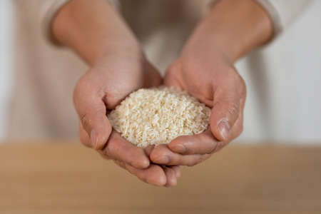 Unrecognizable person hands with handful of riceの写真素材