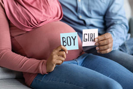 Pregnant couple holding boy and girl cards in pink and blue colorsの写真素材