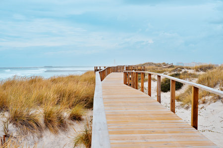 Ocean View With Wooden Path To Beach Over Sand Dunesの写真素材