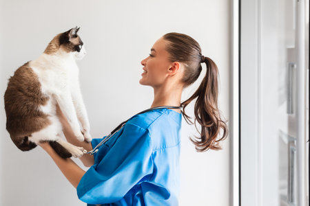 Veterinarian Doctor Woman Holding And Examining Cat in Modern Clinicの写真素材