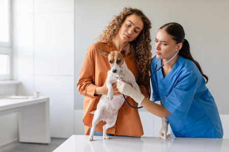 Vet examining dog held by worried owner