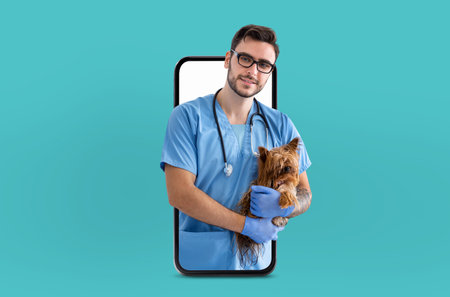 Veterinarian Holding Yorkshire Terrier During Virtual Pet Consultation on Smartphoneの写真素材