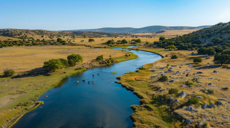 Serene River Meandering Through Lush Green Landscape at Golden Hourの素材