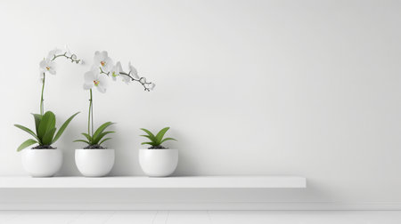 Elegant White Orchids and Green Plants on Minimalist Shelf in Bright Roomの素材