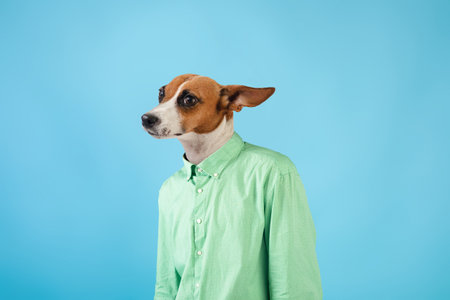 Dog Wearing Green Shirt Against Blue Backgroundの写真素材