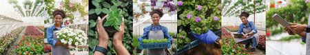 Young Woman Working in Greenhouse, Checking Inventory and Planting Flowers