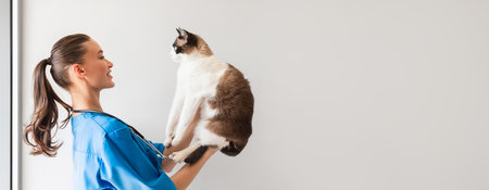 Veterinarian Doctor Woman Holding And Examining Cat in Modern Clinicの写真素材