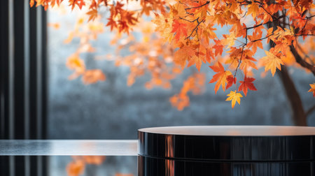 A black podium sits in front of a window with fall foliageの素材