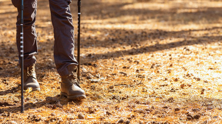 Male legs hiking by forest, using walking sticks
