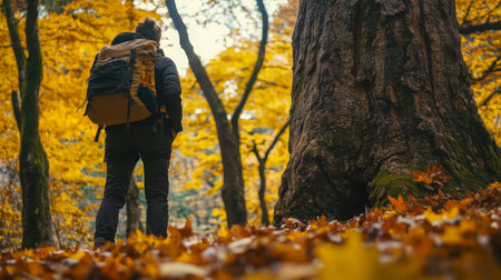 Hiker exploring a vibrant autumn forest with large backpack surrounded by colorful leavesの素材