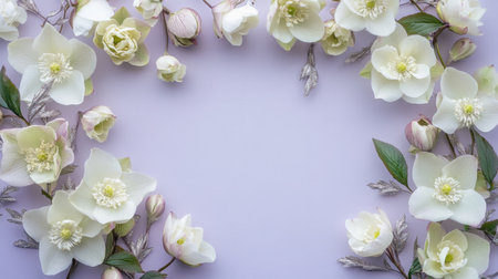 White flowers frame a lilac backgroundの素材