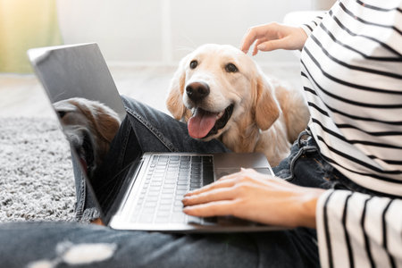 Young black woman at home with laptop and labradorの写真素材
