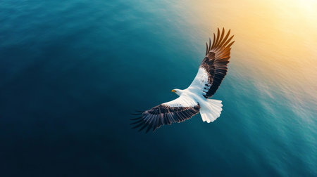 Majestic eagle soaring gracefully over tranquil waters at sunset. Generative AIの素材