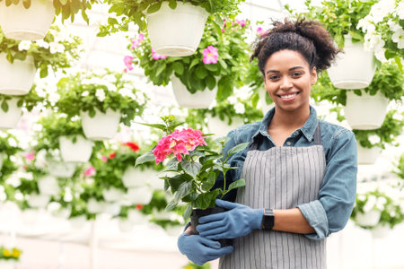Flower business. Happy woman farmer holding pink flowers in handsの写真素材