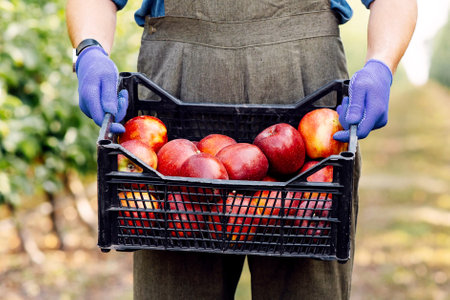 Great fruit harvest in summer and autumn season, work on eco farm and small business