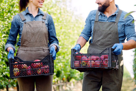 Healthy food and fresh natural fruits, working in organic garden together, family businessの写真素材