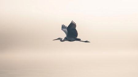 A heron glides over calm water, wrapped in morning fog, evoking serenityの素材
