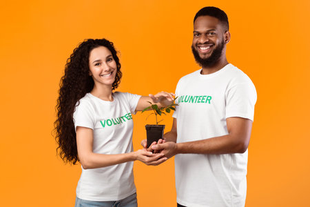 Two Volunteers Holding Plant Standing Over Yellow Backgroundの写真素材