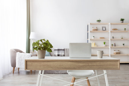 Home manager, freelance and remote worker at homeの写真素材