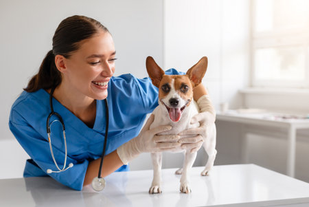 Vet enjoys interacting with a cheerful dog
