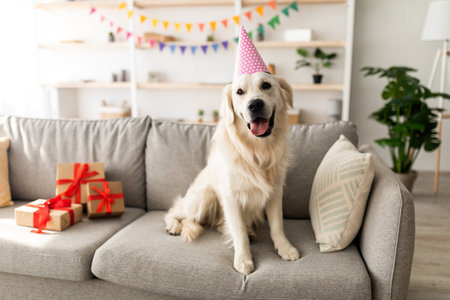Happy Dog Wearing a Party Hat Sits on a Couch Surrounded by Gifts in a Cheerful Room With Decorationsの写真素材
