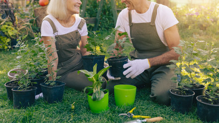 Couple Planting Flowers Together in a Garden During a Sunny Afternoonの写真素材