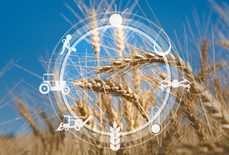 Digital agricultural messages and icons on field backgroundの写真素材