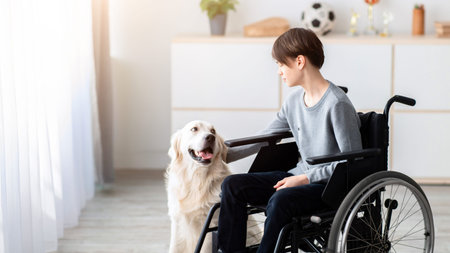 Young Boy Using a Wheelchair Interacts With a Golden Retriever in a Bright Living Roomの写真素材