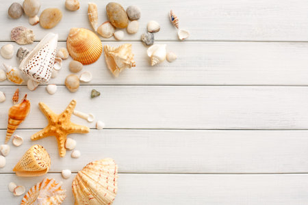 Seashells on white wood, sea vacation backgroundの写真素材