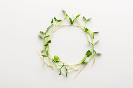 Collection of Green Plants Arranged in a Round Shape on a White Surface