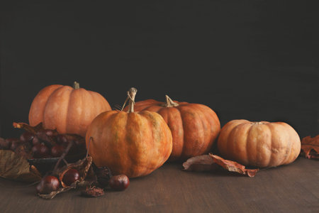 Collection of Pumpkins Arranged on a Table With Leaves and Grapes During Autumn Seasonの写真素材