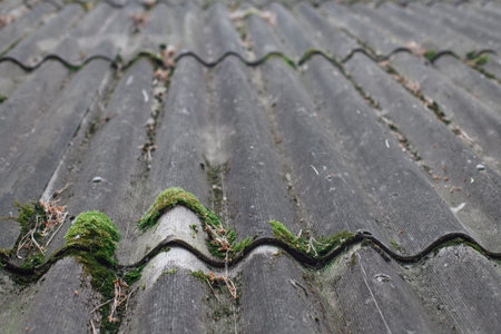 Old Roof With Moss and Dirt Showing Wear and Age From Exposure to Elements Over Time