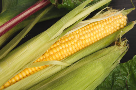 Collection of Corn With Green Husks and Yellow Kernels in a Simple Collage Display