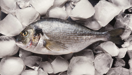 Collection of Fresh Fish on Ice in a Market Setting Ready for Sale and Preparation