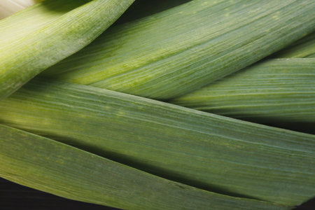 Collection of Green Leek Leaves Arranged in a Mosaic Style on a Flat Surface