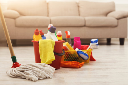 Cleaning Supplies Arranged in a Collage on the Floor Near a Couch