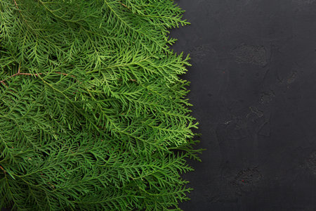 Close View of Green Leaves on Dark Surface in a Simple Setting During Daytime