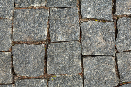 Paved Stones Arranged in a Pattern on a Walkway During Daytime