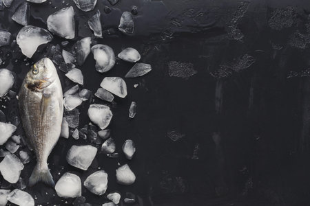 Collection of Fish on Ice Arranged in a Clean Black Background