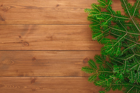 Collection of Green Pine Branches on Wood Background in Natural Setting