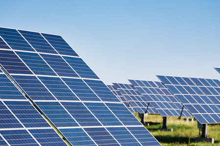 Solar Panels Absorb Sunlight in a Field During a Clear Day in a Rural Area