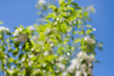 Leaves Sway Gently in Sunlight Under Clear Blue Sky During a Warm Afternoon