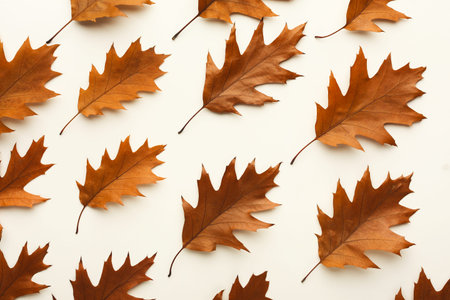 Collage of Dry Leaves Arranged in a Mosaic Pattern on a Light Background in Autumn Season