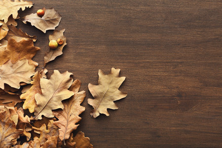 Collection of Dried Oak Leaves Arranged on a Wooden Surface for a Decorative Mosaic Display