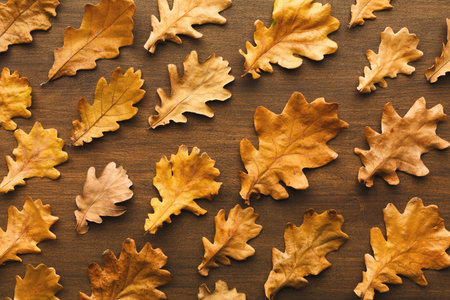 Collection of Autumn Leaves Arranged in a Mosaic on a Wooden Surface