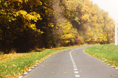 Collection of Autumn Scenery Along Winding Path in Park With Colorful Leaves