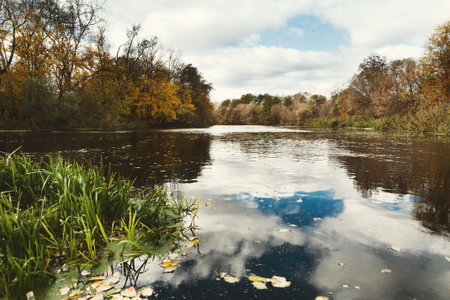 Mosaic of Nature Showing a River, Trees, and Clouds on a Cloudy Day in Autumn