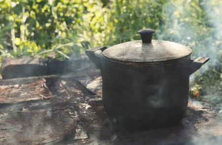 Cooking Food in a Pot Over an Open Fire in a Natural Outdoor Setting